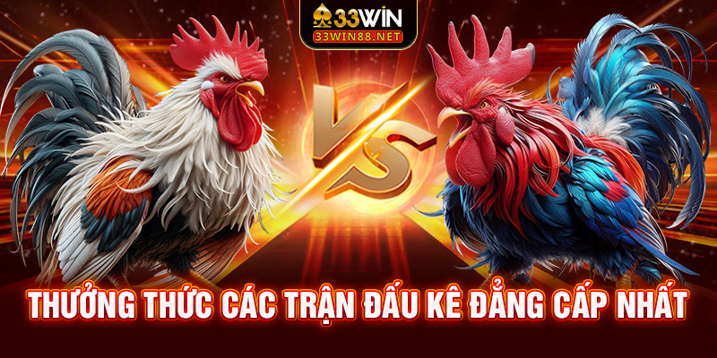 Thưởng thức các trận đấu kê đẳng cấp nhất
