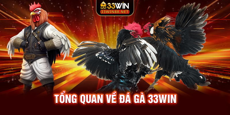Tổng quan về đá gà 33win